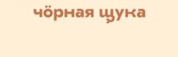 изображение из решения ППС
