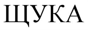 изображение из решения ППС