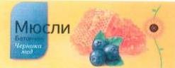 изображение из решения ППС