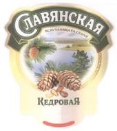 изображение из решения ППС
