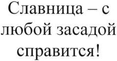 изображение из решения ППС