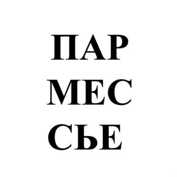 изображение из решения ППС