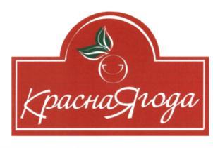изображение из решения ППС