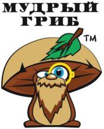 изображение из решения ППС