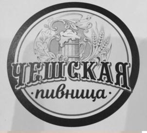 изображение из решения ППС