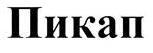 изображение из решения ППС