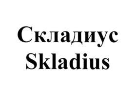 изображение из решения ППС