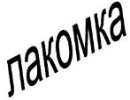 изображение из решения ППС