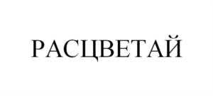 изображение из решения ППС
