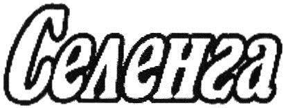 изображение из решения ППС