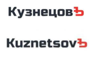 изображение из решения ППС
