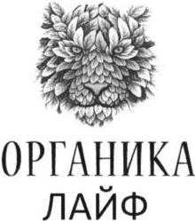 изображение из решения ППС