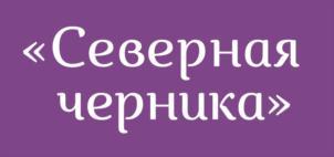 изображение из решения ППС