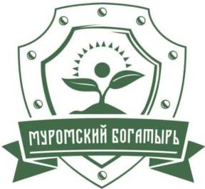 изображение из решения ППС