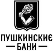 изображение из решения ППС
