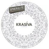 изображение из решения ППС