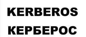изображение из решения ППС