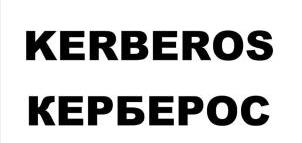 изображение из решения ППС