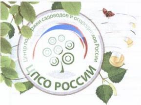 изображение из решения ППС