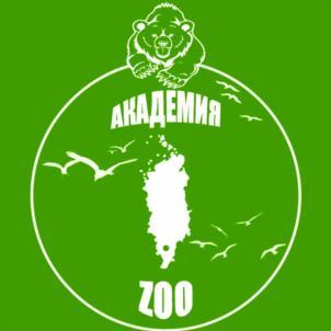 изображение из решения ППС