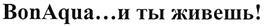 изображение из решения ППС
