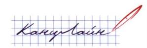 изображение из решения ППС