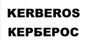 изображение из решения ППС