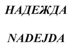 изображение из решения ППС