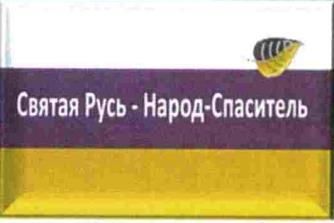 изображение из решения ППС