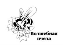 изображение из решения ППС