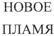 изображение из решения ППС