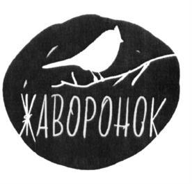 изображение из решения ППС