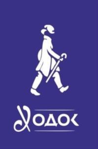 изображение из решения ППС