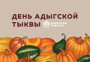 изображение из решения ППС