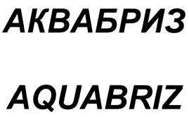 изображение из решения ППС