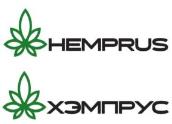 изображение из решения ППС