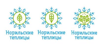 изображение из решения ППС