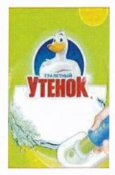 изображение из решения ППС
