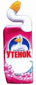 изображение из решения ППС