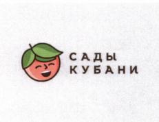 изображение из решения ППС
