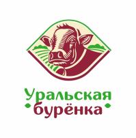 изображение из решения