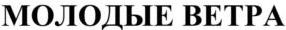 изображение из решения ППС