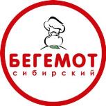 изображение из решения ППС