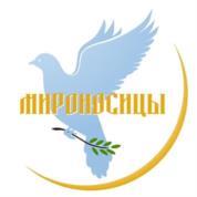изображение из решения