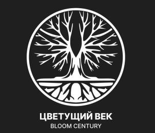 изображение из решения