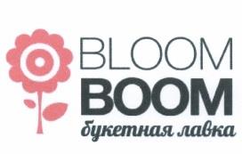 изображение из решения ППС