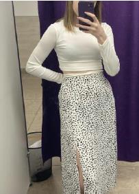 изображение из решения ППС