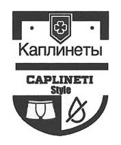 изображение из решения ППС