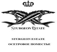 изображение из решения ППС