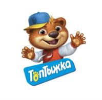 изображение из решения ППС